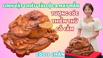 Tượng Cóc Thiềm Thừ gỗ Cẩm | Linh vật chiêu tài lộc độc đáo cho gia chủ