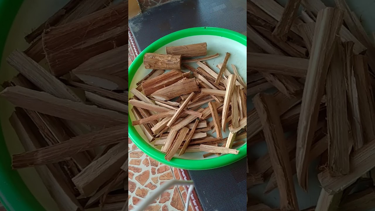 akar bajakah minuman kesehatan 