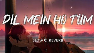 dil mein ho tum || slow & reverb || lofi beats