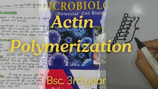 Actin Polymerization in 10 minutes | In Nepali | Bsc.3rd year