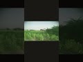 #saraki #poetry #2023 #villagelife #beautiful #video #clip @sarikivloger535