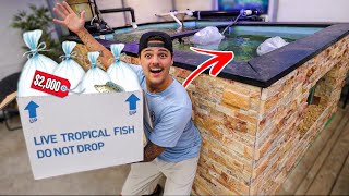 Buying AGGRESSIVE Species for My PREDATORY SALTWATER POND!!