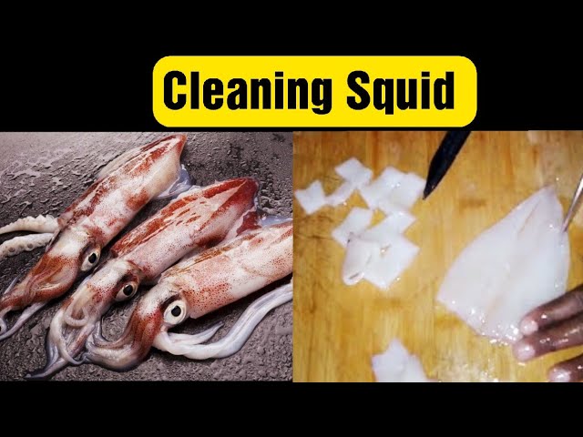 How to clean squid | Kanava Cleaning (English) | Squid Cleaning | Koonthal Cleaning | கனவா |கூந்தல் | Food Tamil - Samayal & Vlogs