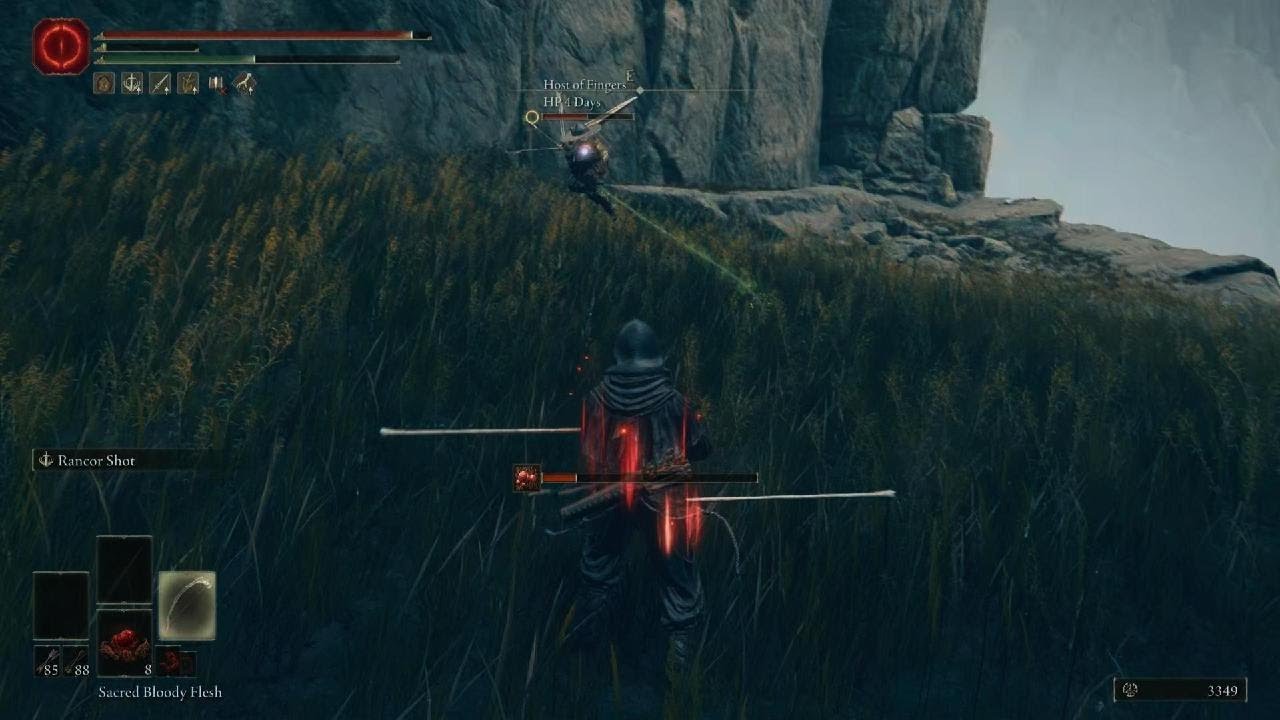 ELDEN RING ninja funny pvp