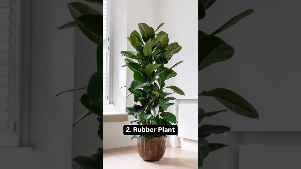 metal hanging plant stand Metal Hanging Plant Stand with Hook Adjustable Height  RusticReach