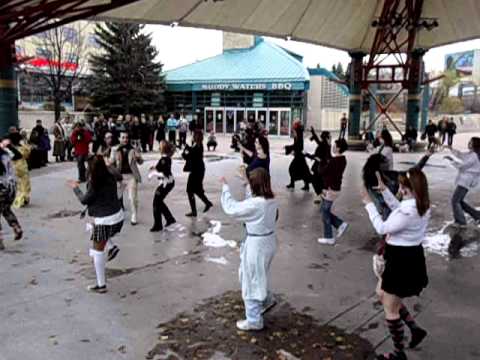 flash mob winnipeg 10/30/11