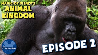 Magic of Disney's Animal Kingdom (Episode 2 - Happy Birthday Gino! - Review Breakdown & Reaction)