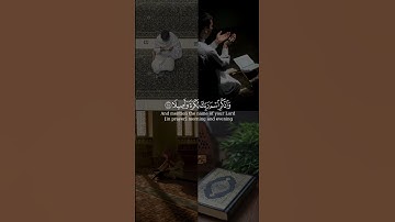 إنا نحن نزلنا عليك القرءان  تنزيلًا من سورة الإنسان بصوت إسلام صبحي