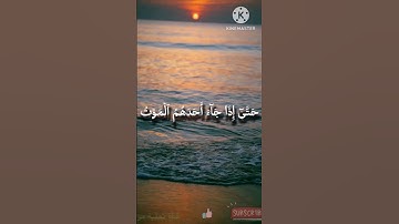 تلاوة من سورة المؤمنون، للقارئ عبيدة موفق، بصوت خاشع.
