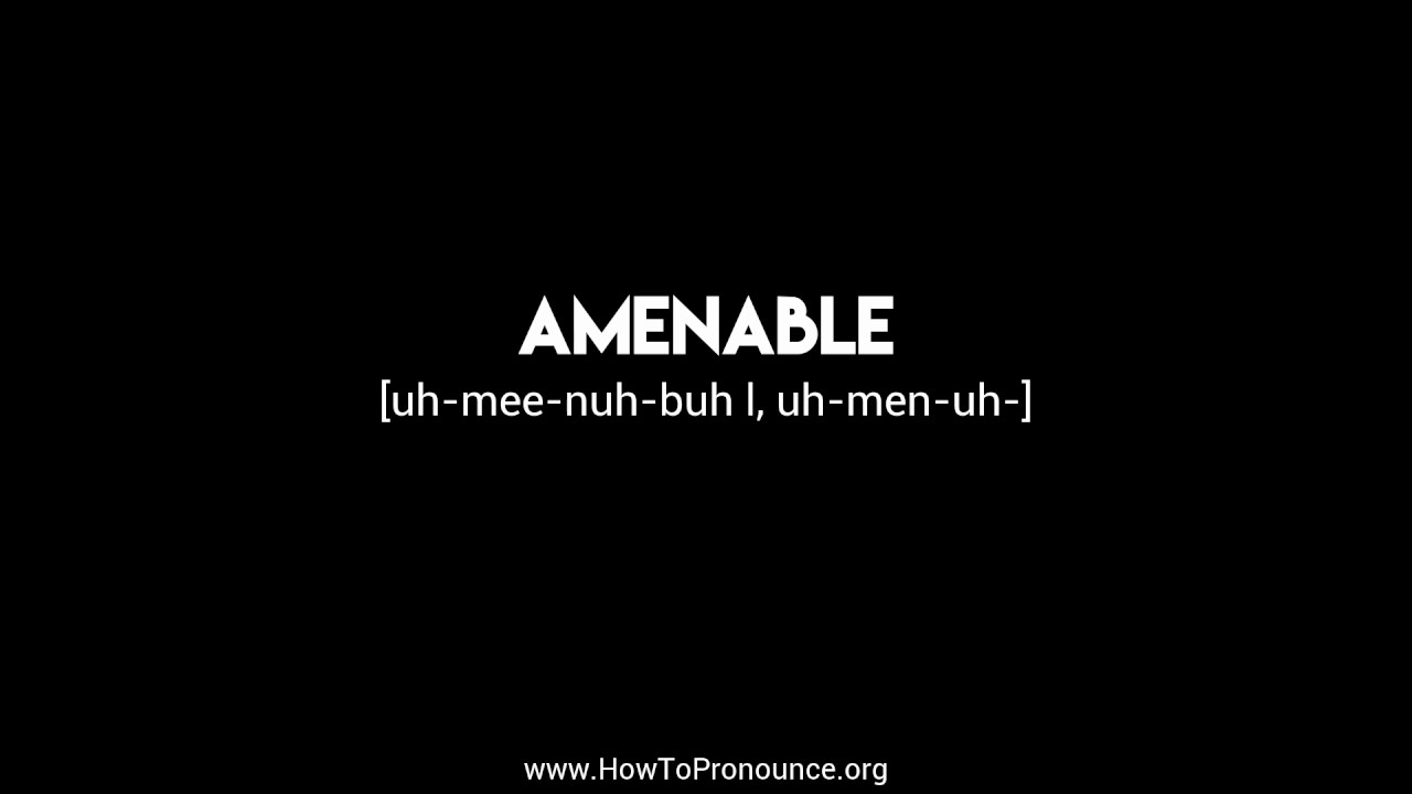 How to Pronounce "amenable" YouTube
