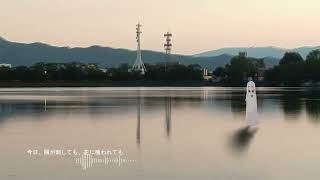 【水曜日の容赦】2,降星/琴葉葵