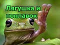 ЛЯГУШКА напала на поплавок!!! Прикольные животные.