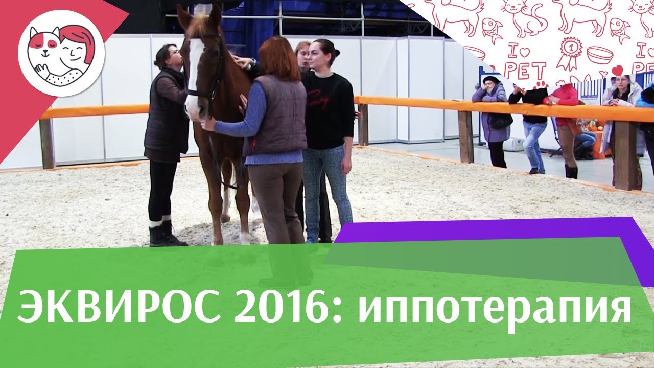 питомцы кукол лол Первое занятие иппотерапией с ребёнком с РАС ЭКВИРОС 2016 на ilikepet