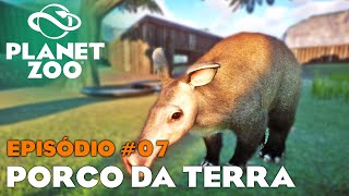 HABITAT PORCOS DA TERRA | PLANET ZOO #07 MODO FRANQUIA