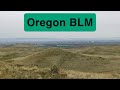 Oregon Native Plants: Highway 201 BLM