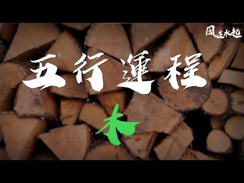 五行運程 | 木 | 風生水起 張芯熏 | 運程 | 五行