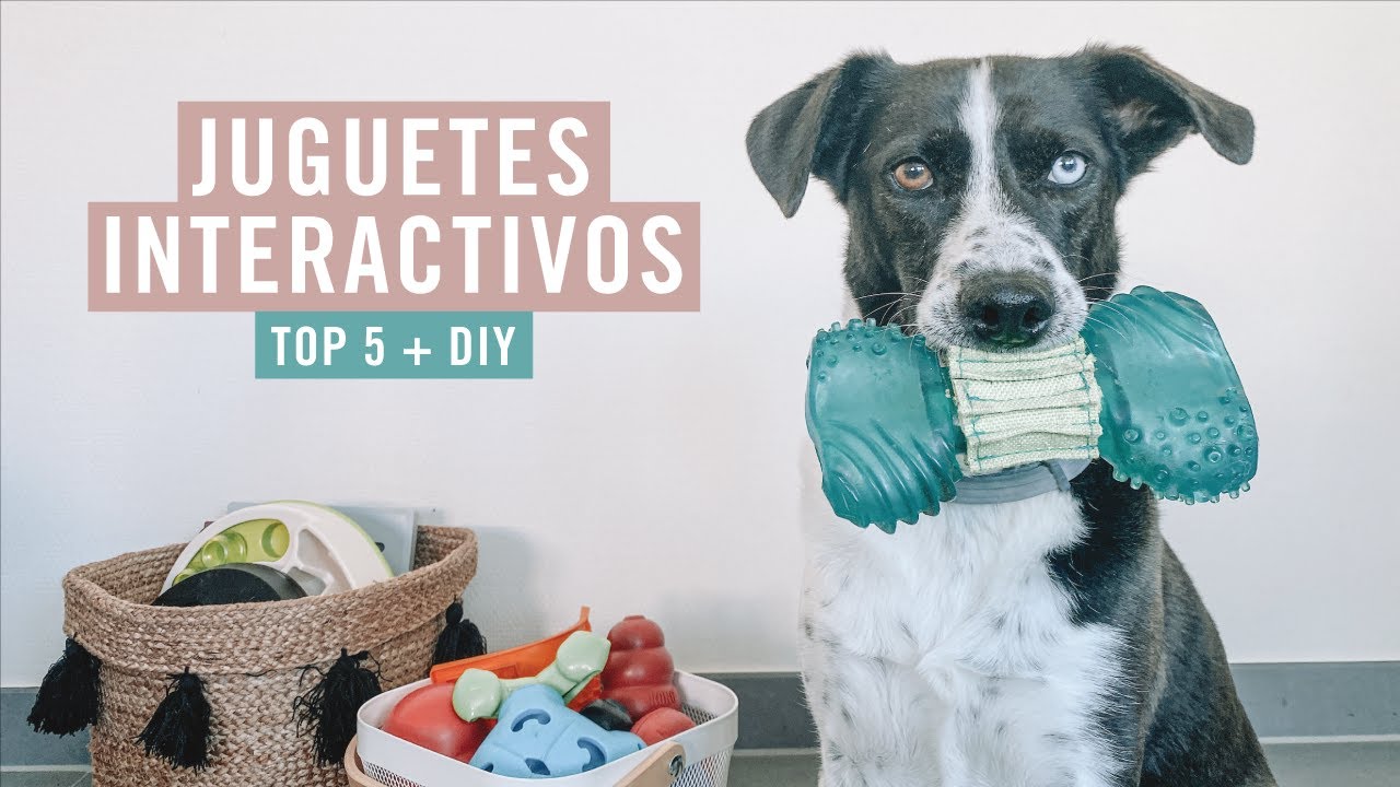 Top 18 JUGUETES INTERACTIVOS para perros ¡que te sorprenderán!