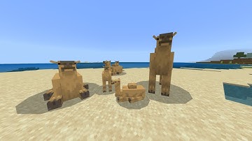 Minecraft Update 1.20  Camel Addon MCPE 1.19