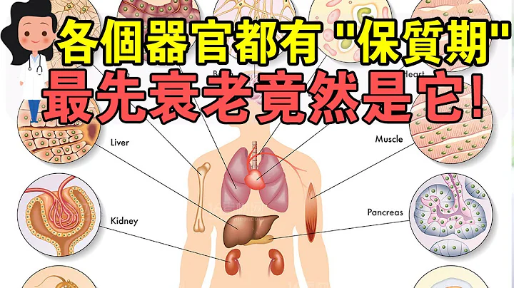 器官也有衰老时间表！对照看看，妳器官的“寿命”还剩多久…… - 天天要闻