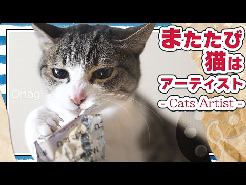 またたび好き猫はアーティスト