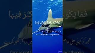 SURAH AL-A’RAF AYAT 13 # islamic vedio # short vedio #