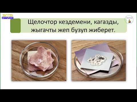 Video: Жашыруу жана кам көрүү: көйгөйлүү тери үчүн мыкты негиздер