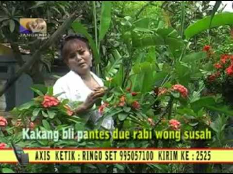 Tarling Dangdut Semut Demen Gajah Ity Ashella 28