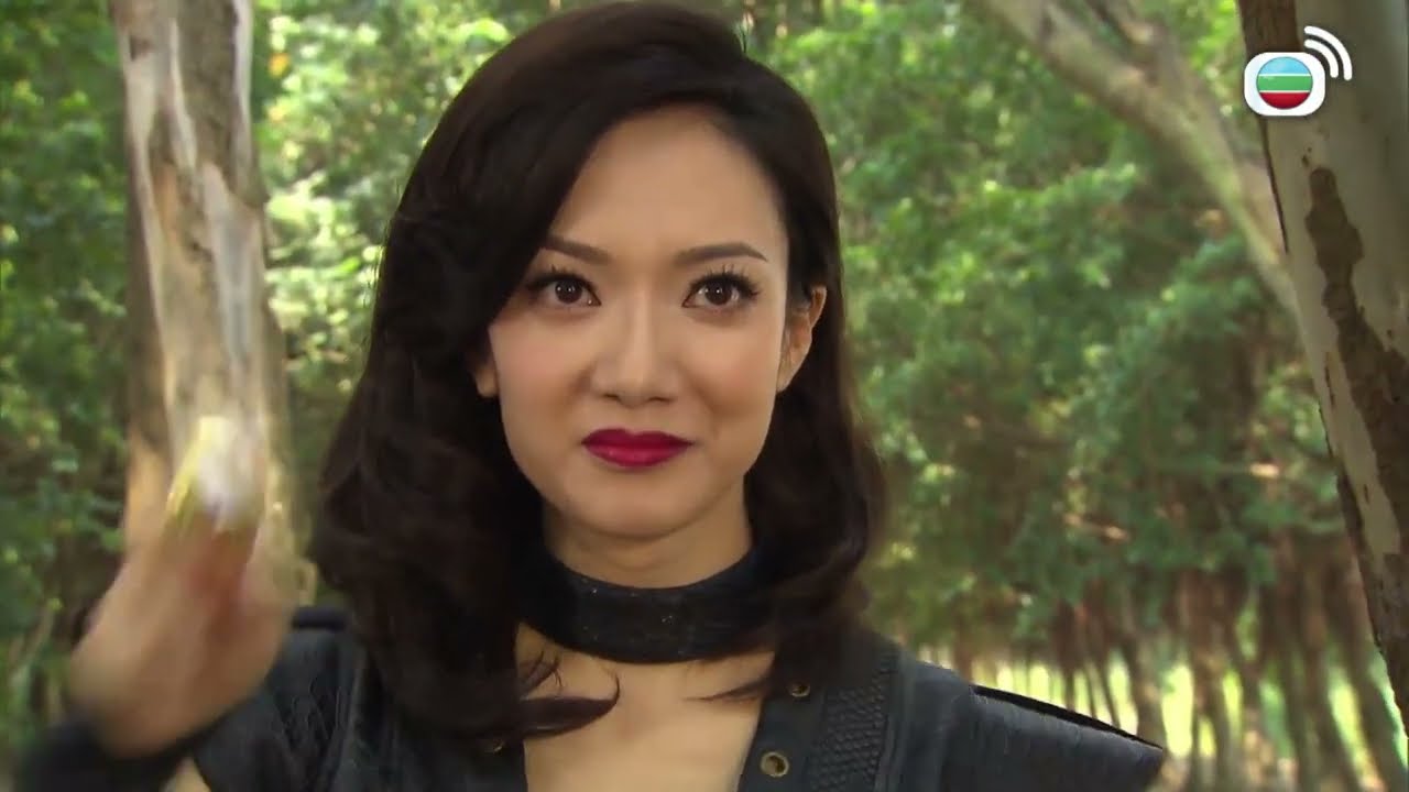 你害我家破人亡，今日就要你血債血償!｜ 城寨英雄｜陳展鵬 ｜胡定欣｜袁偉豪 ｜吳家樂 ｜伍允龍｜ 元秋｜王君馨｜武打｜TVB港劇精華