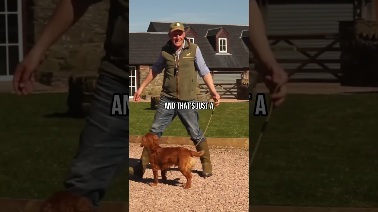 STOP Your Dog Running Over To Other Dogs