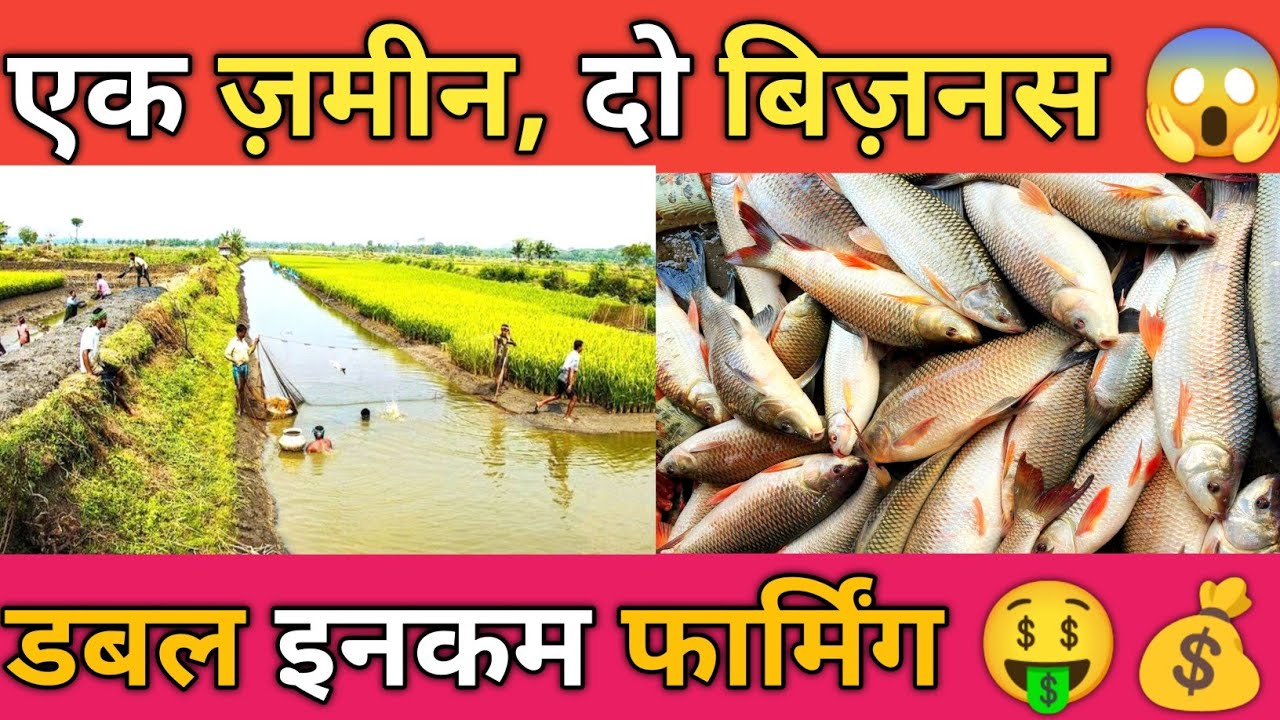 Machhli Palan Aur Kheti Dono Ek Sath Kaise Karein ?