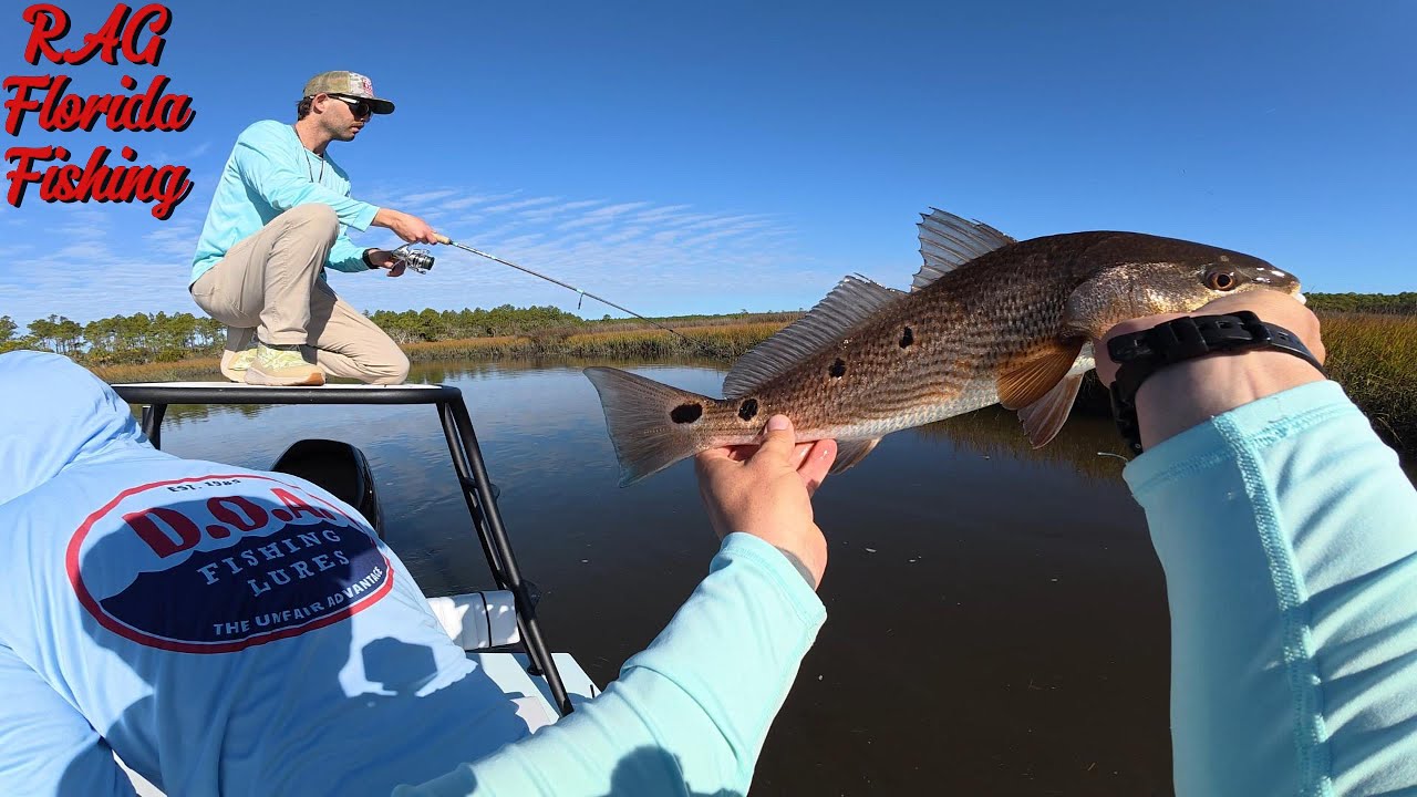 В Джексонвилле было невероятно много красной рыбы и форели!!!