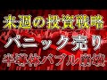 半導体バブル崩壊か。パニック売りが発生。来週の投資戦略を解説!【株式投資家向け】