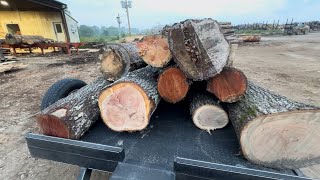 Are free logs worth your time to pick up and sell to a sawmill?