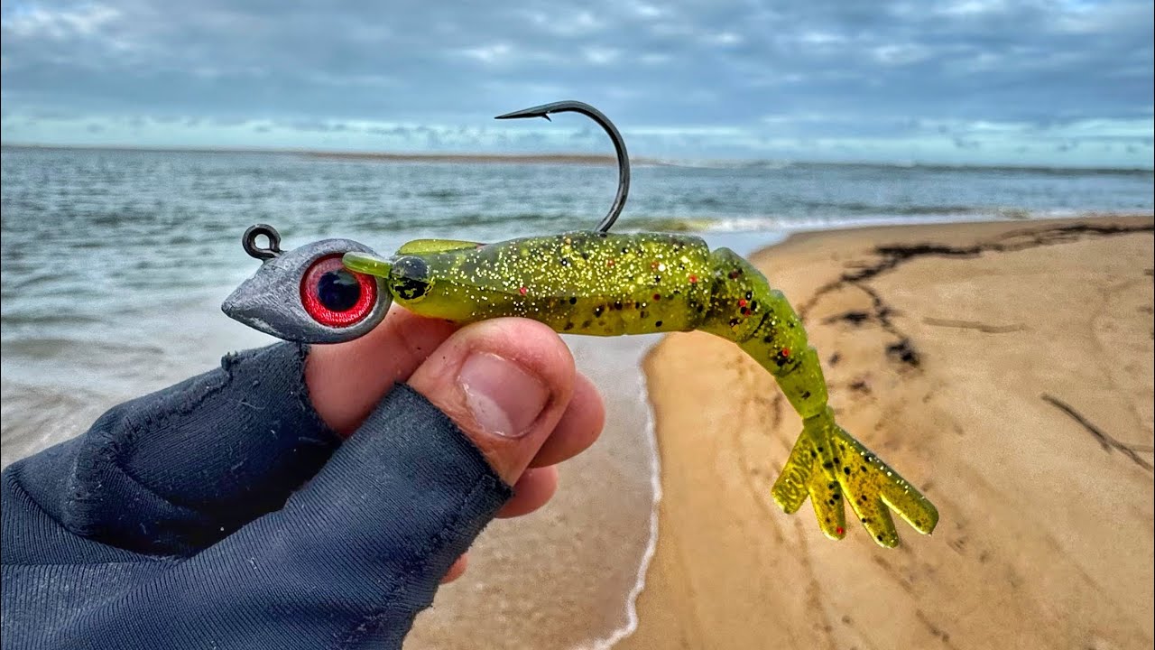 ROBALOS GIGANTES na PRAIA com CAMARÃO ARTIFICIAL!!! 