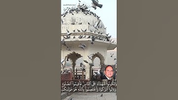 مفطع رائع | سورة الحج | الشيخ أحمد نعينع #قرآن_كريم  #تيك_توك #احمد_نعينع #اكسبلور  #دويتو #خشوع