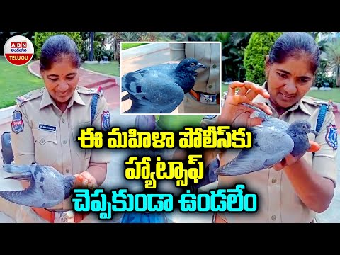 Woman Police Proved Her Humanity : ఈ మహిళా పోలీస్ కు హ్యాట్సాఫ్‌ చెప్పకుండా ఉండలేం..! | ABN Telugu - ABNTELUGUTV