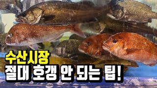 [ENGSUB] Buy delicious sashimi at Noryangjin Fish Market in Seoul. Full beginner strategy first!