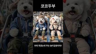 추워 죽겠는데 무슨 놀이공원이야?