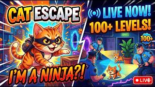 HIDE AND SEEK CAT ESCAPE FUNNY GAMEPLAY #hideandseekcatescape screenshot 3