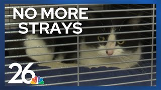 Fond du Lac Humane Society no longer accepting strays