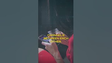 Bitcoin Shorts: (Part 01) The Lightning Network and Bitcoin: Blockchains Don’t Scale Lightning Does