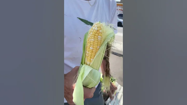 $5 Lunch Challenge: High School 🌽 #Challenge #Food #Budget #School #StreetCents
