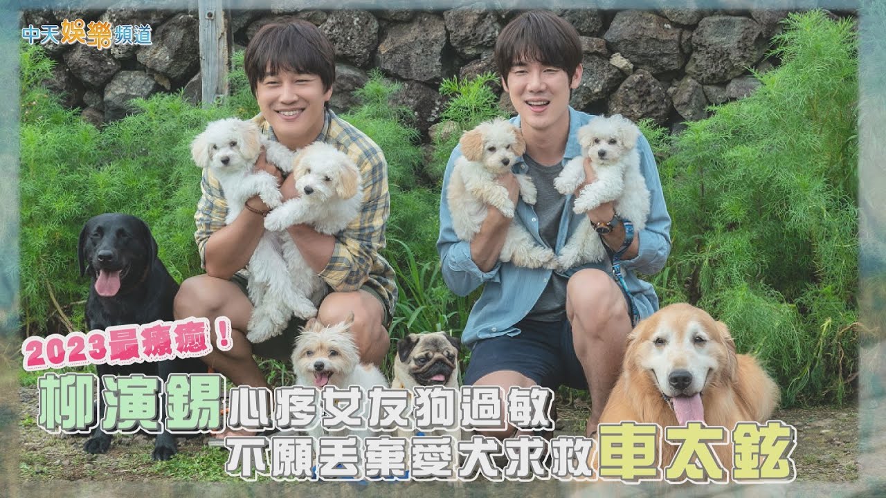 【贈票好康】2023最療癒！ 柳演錫心疼女友狗過敏  不願丟棄愛犬求救車太鉉｜超完美狗保姆