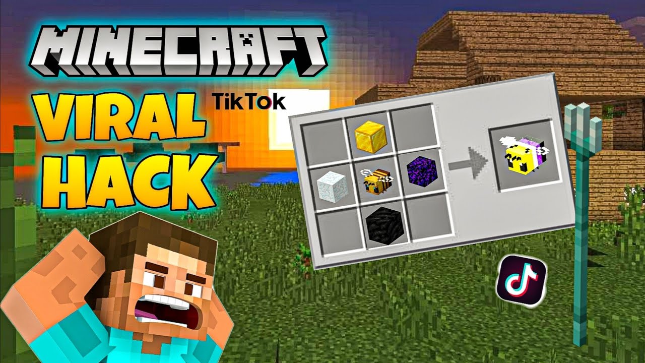 MINECRAFT VIRAL TIK TOK HACK #new #trending #viral #gaming #minecraft # ...