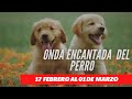 ♦️ONDA ENCANTADA DEL PERRO / 17 DE FEBRERO A 01 DE MARZO