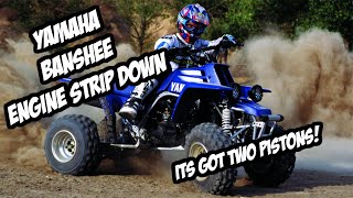 Yamaha YFZ350 Banshee quad engine tear down!