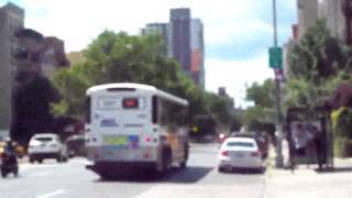 MTA Bus: MCI D4500 CT # 2247 On A Re-Routed BM1