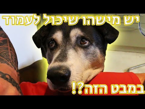 וִידֵאוֹ: אף אחד לא יוצא מפה בחיים