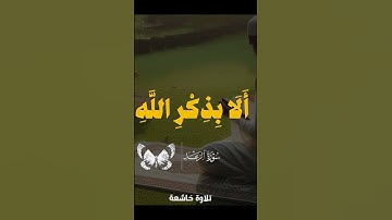 اكتب شئ تؤجر عليه ♥|اسمع بقلبك هذا الجمال❤|سوره الرعد|محمد صديق المنشاوي#قرآن#قران_كريم#كرومات_قرآن