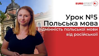 Польский язык - Урок 5 - Отличие польского языка от русского, ошибки при переводе слов Польский язык - Урок 5 - Отличие польского языка от русского, ошибки при переводе слов